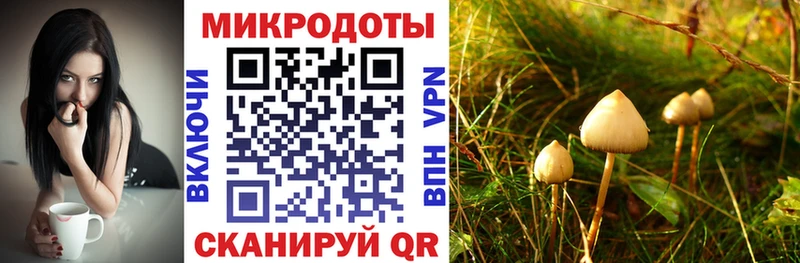 Галлюциногенные грибы Cubensis  Новое Девяткино 